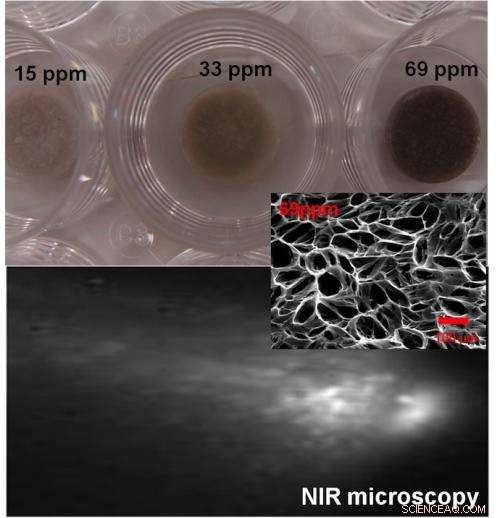 Carbon Nanotubes Accelerate Heart Repair by Restoring Electrical Conduction
