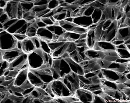 Carbon Nanotubes Accelerate Heart Repair by Restoring Electrical Conduction