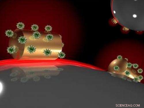 Light-Enhanced Detection of Single Unlabeled Biomolecules