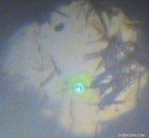 High‑Pressure Study of GaAs Wurtzite Nanowires for Solar Cell Applications