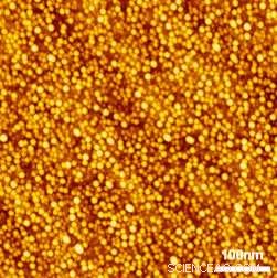 Harnessing Self-Organized Indium Arsenide Quantum Dots to Boost Solar Cell Efficiency