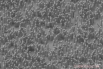 Researchers Enhance Microscopic Batteries Using DIY Imaging Analysis