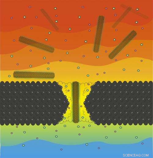 Penn Scientists Advance Nanocrystal Analysis with Nanopore Technology