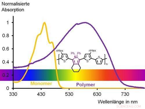 Organic Tin Enhances Light Absorption in Polymers