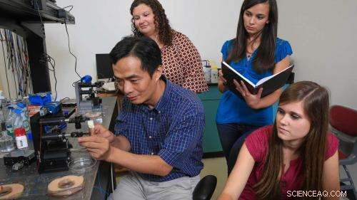 Revolutionary Nanodevice Detects Cancer at Ultra‑Early Stages