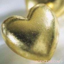 Hybrid Heart Patch Could Replace Transplants, Says Tel Aviv University