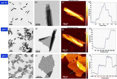 Smart 2‑D Nanosheet Morphs with pH, Enabling Optical Tracking