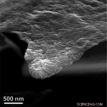 Hybrid Catalyst Combines Graphene and Nitrogen to Outperform Platinum in Fuel Cells