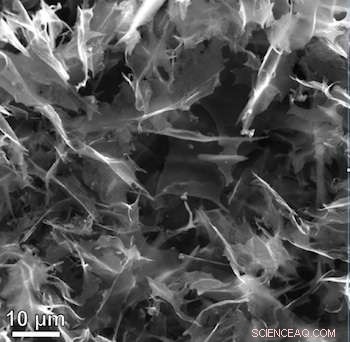 Hybrid Catalyst Combines Graphene and Nitrogen to Outperform Platinum in Fuel Cells