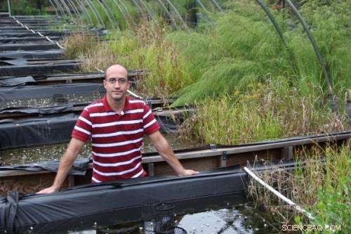 Rapid Accumulation of Nanoparticles in Wetland Sediments Revealed by Duke Study