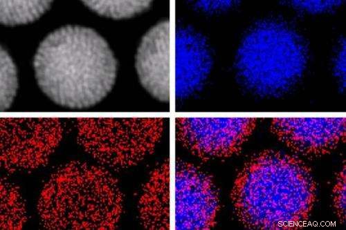 Magnetic Control of Nanoparticles: Precision Manipulation for Advanced Technologies