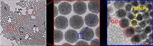 Magnetic Control of Nanoparticles: Precision Manipulation for Advanced Technologies