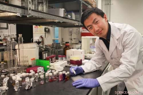 One-Application Nanoparticle Eye Drops Offer Relief for Dry Eye Syndrome