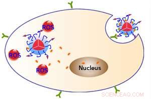 Dual-Function Nanoparticles for Targeted Imaging and Combined Therapy Against Cancer