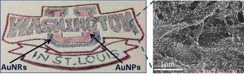Innovative Plasmonic Paper Developed to Detect Chemicals and Key Biomolecules