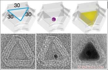 DNA Nanofoundries Forge Custom 3-D Metal Nanoparticles