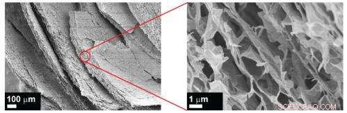 Innovative Layer‑by‑Layer Assembly: A Simple, Versatile Path to 3‑D Materials of Tomorrow