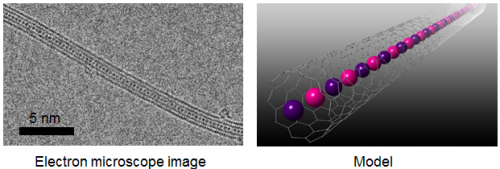 Novel Two-Element Atomic Chain Encapsulated Within Carbon Nanotube Achieves Precise Synthesis
