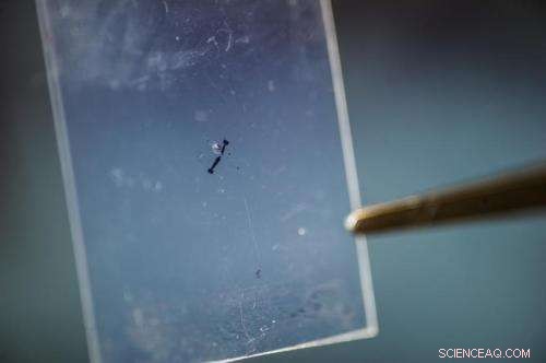 Columbia Engineers Unveil World s Thinnest Electric Generator