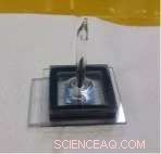 Revolutionizing Illumination: Carbon‑Nanotube Flat‑Panel Lights Outperform LEDs