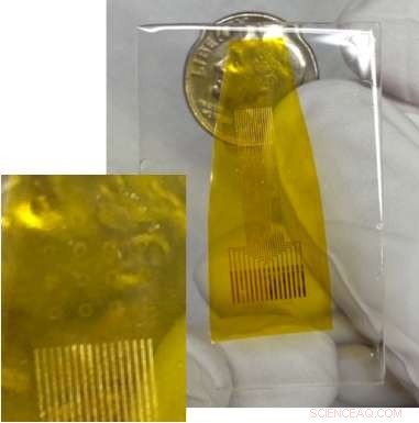 Transparent One-Atom-Thick Carbon Electrodes: A Powerful Tool for Studying Brain Disorders