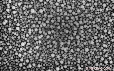 Engineered Starfish‑Shell‑Inspired Crystals Boost Precision in 3‑D Printed Medication