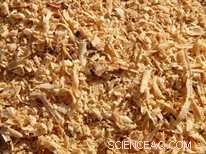 Chemists at Birmingham develop nanostructured carbon from sawdust waste