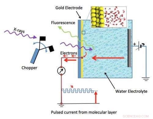New Study Deciphers Molecular Structure of Water at Gold Electrodes