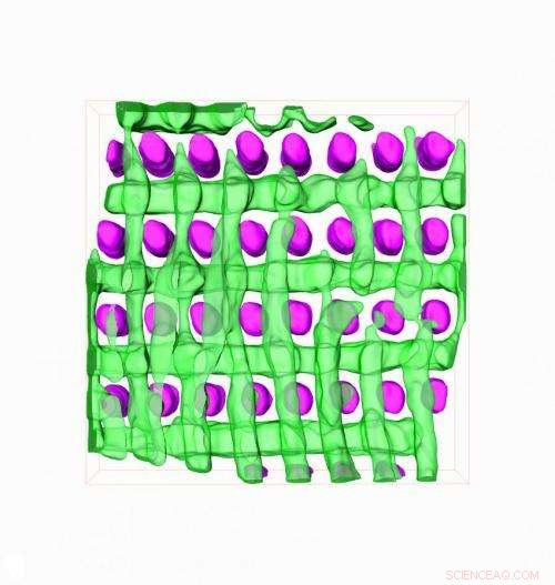 NIST Introduces Dual Methods for Imaging Self-Organizing Molecules in Electronics