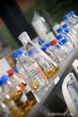 Designer Nanodevice Promises Enhanced Cancer Treatment Options