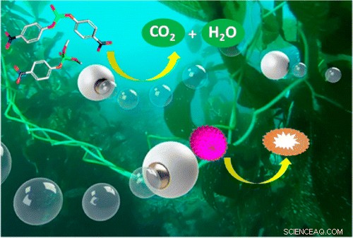 Microrockets Powered by Water Neutralize Chemical and Biological Warfare Agents