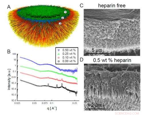 Self-Assembly of Layered Membranes: Precision Engineering of Multilayer Structures