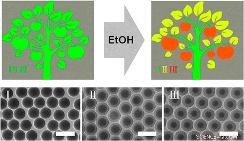 Longhorn Beetle-Inspired Ink Revolutionizes Counterfeit Detection