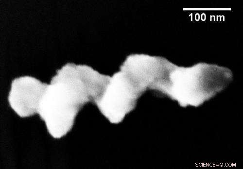 Micro- and Nano-Swimmers Successfully Propel Through Fluid Media Mimicking Bodily Fluids