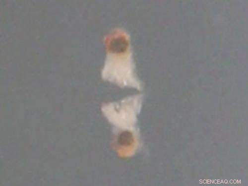 Micro- and Nano-Swimmers Successfully Propel Through Fluid Media Mimicking Bodily Fluids