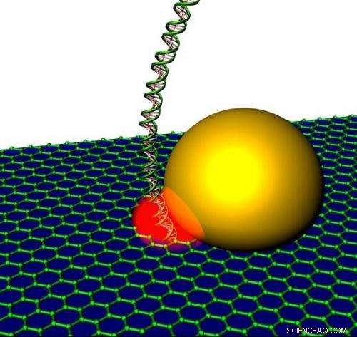 New Graphene Nanopores with Integrated Optical Antennas Boost DNA Sequencing Speed