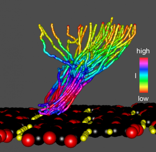 Precision Control of Complex Molecules Using Scanning Probe Microscopes