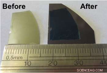 Revolutionary Transfer Method for Atomically Thin Semiconductors in Flexible Electronics
