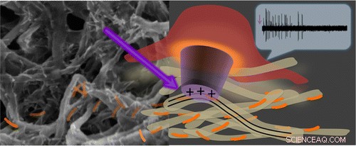 New Prosthetic Retina Promises Vision Restoration
