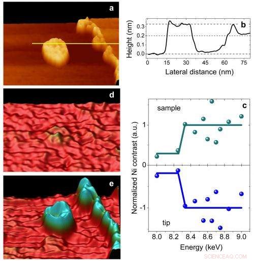 Synergistic STM and X-ray Synchrotron Microscopy: A Powerful Combined Approach