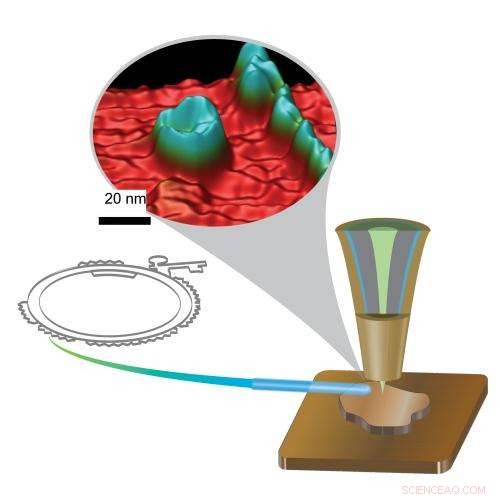 Synergistic STM and X-ray Synchrotron Microscopy: A Powerful Combined Approach