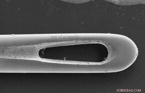 Exploring the Intersection of Science and Art in Nanosculpture Innovation