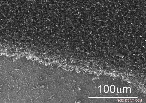 Graphene–Nanotube Hybrid Enhances Performance of Flexible Solar Cells
