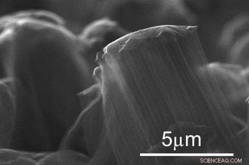 Graphene–Nanotube Hybrid Enhances Performance of Flexible Solar Cells