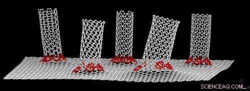 Graphene–Nanotube Hybrid Enhances Performance of Flexible Solar Cells