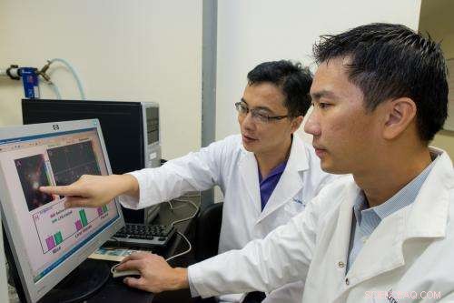 Revolutionary Biomarker Detects Tumor Cells and Targets Them with Precision Drug Delivery