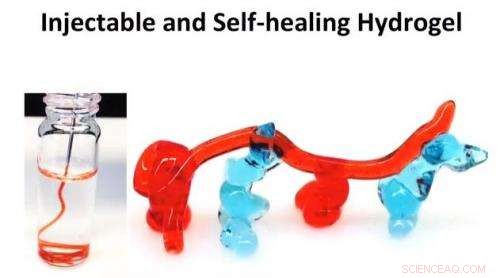 Injectable Blood-Stopper Breaks New Ground for Battlefield Wound Care