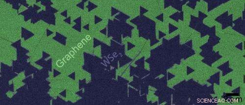 Bridging the Gap: Advancing Atomically Thin Material Integration