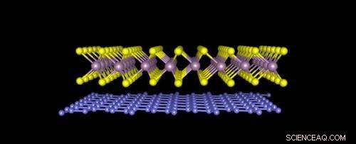 Physicists Bind Single‑Atom Sheets Using Gecko‑Inspired Adhesive Forces