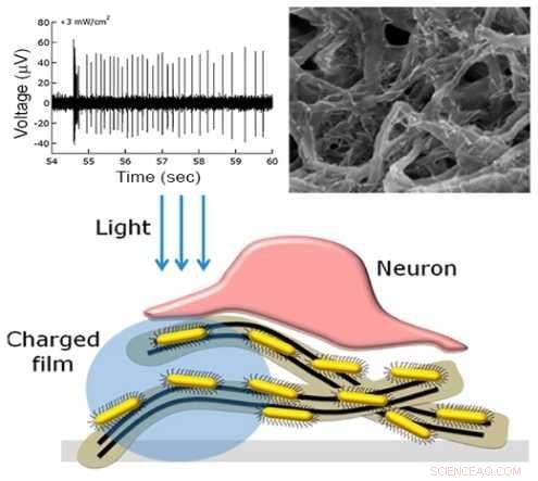 Nanotube Breakthrough Offers Hope for Restoring Sight in Blind Retinas